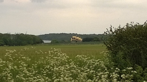 Tantalising glimpse of 'House for Essex' across the fields.